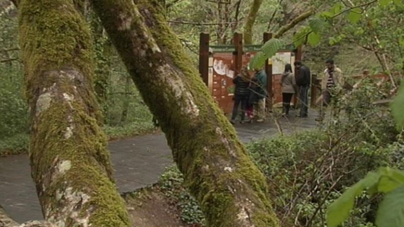 Se tardó cuatro días en controlar y extinguir el fuego en Fragas Do Eume 