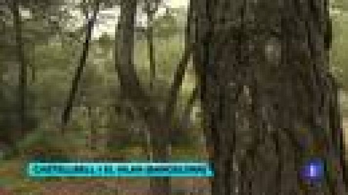 Telediario 1 - Casas de verano