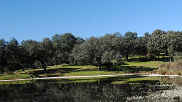 El tiempo - Cielos despejados en la península