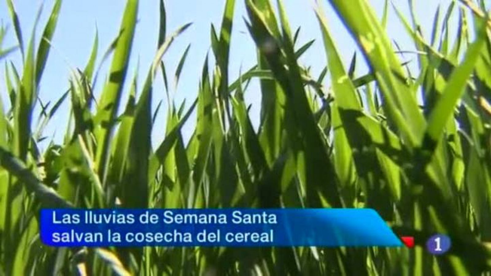 Noticias de Castilla La Mancha (09/04/2012) | Ver