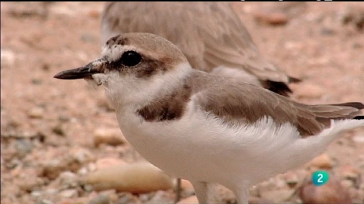 Biodiario - Biodiario - 09/04/12
