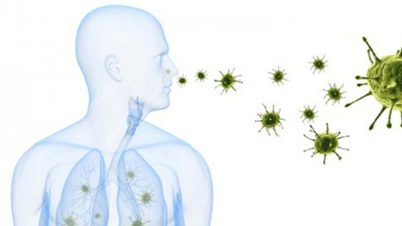 Bacterias Bacterias