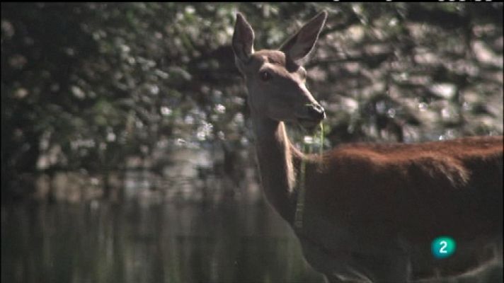 Biodiario - Biodiario - 10/04/12