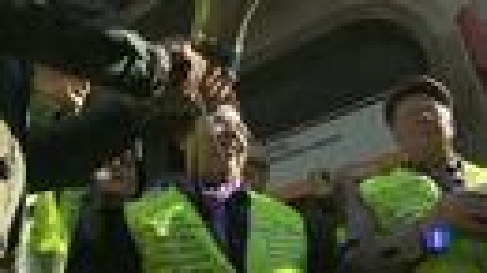 Los "iaioflautas" salen a las calles a defender los derechos públicos