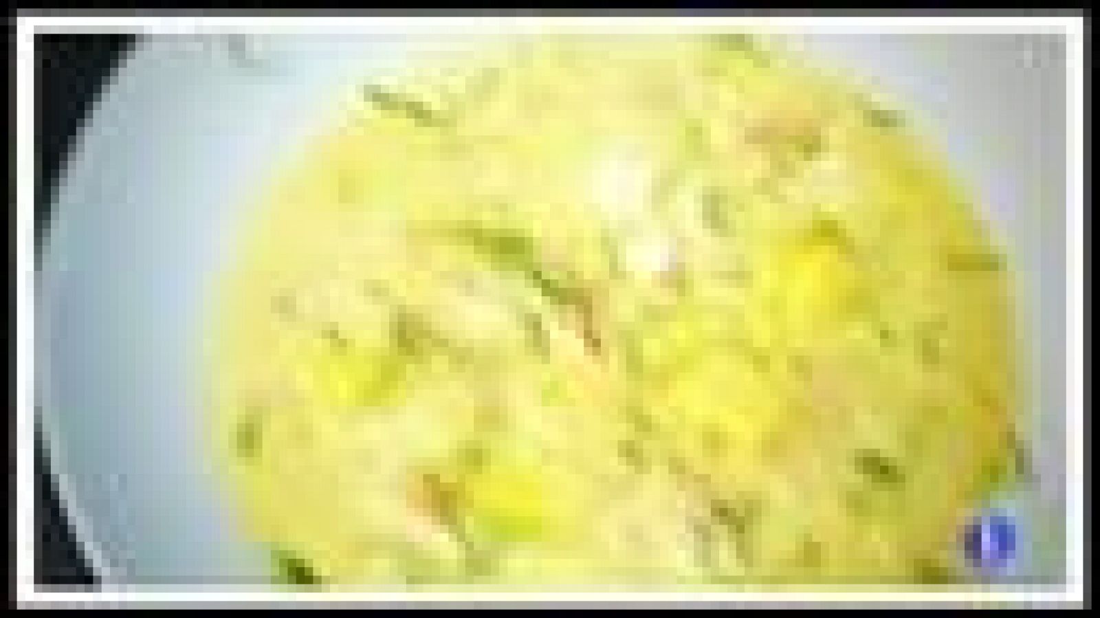 Salteado de langostinos con mango, por Sega | Ver