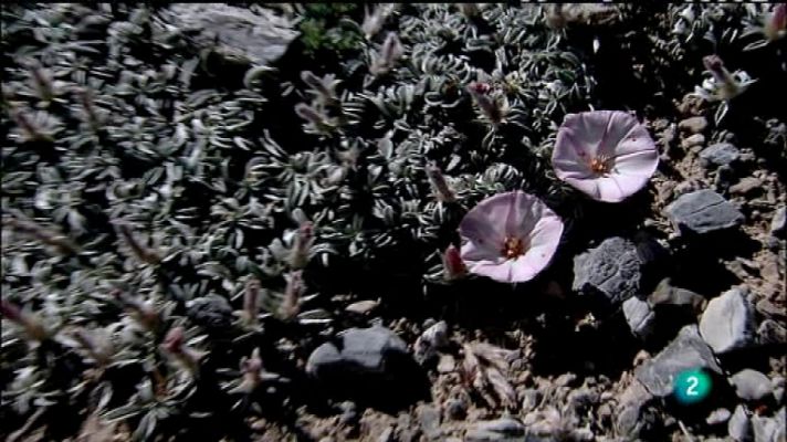 Biodiario - Biodiario - 11/04/12