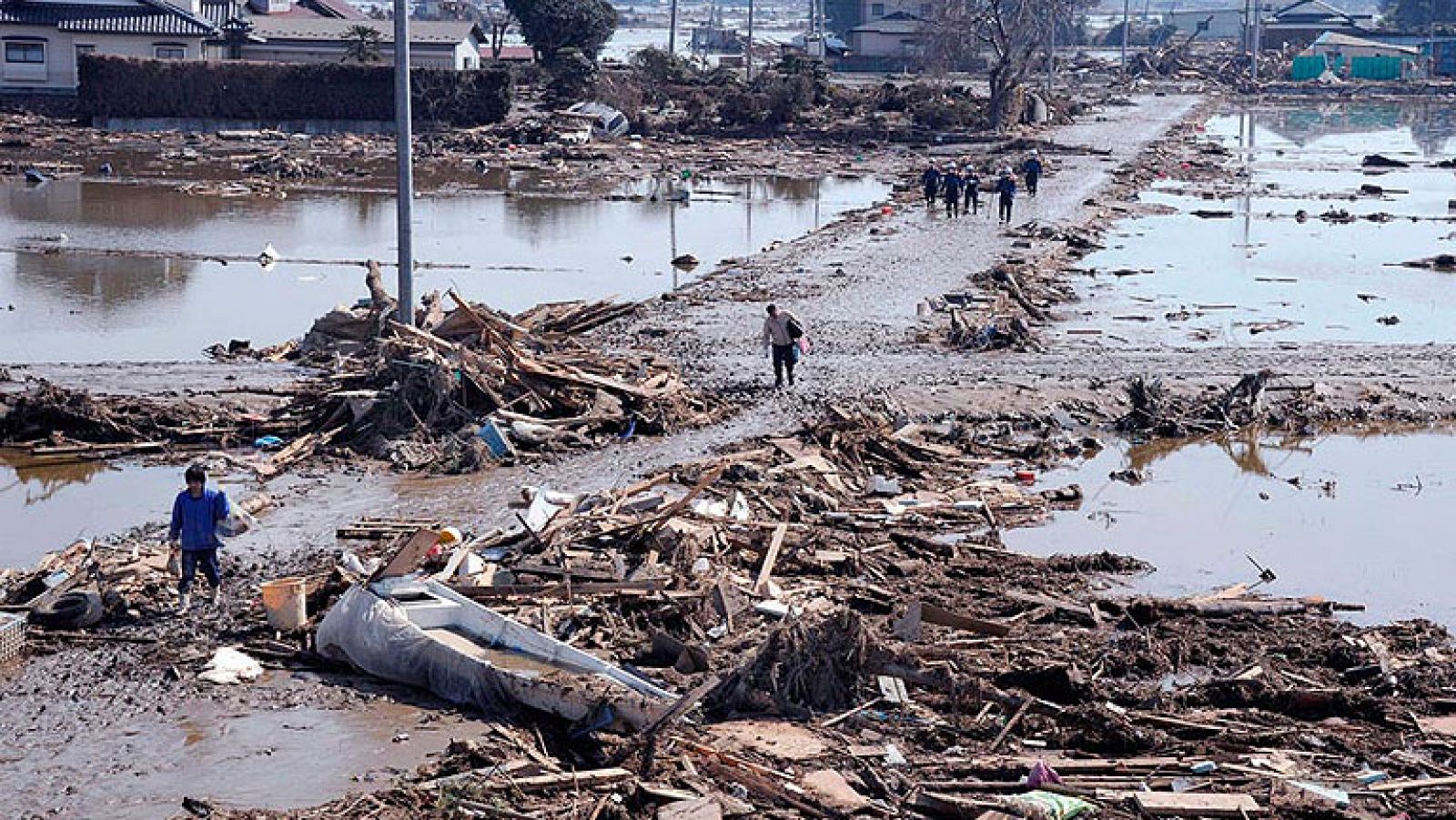 La vida submarina resiste al tsunami que devastó Japón hace un año