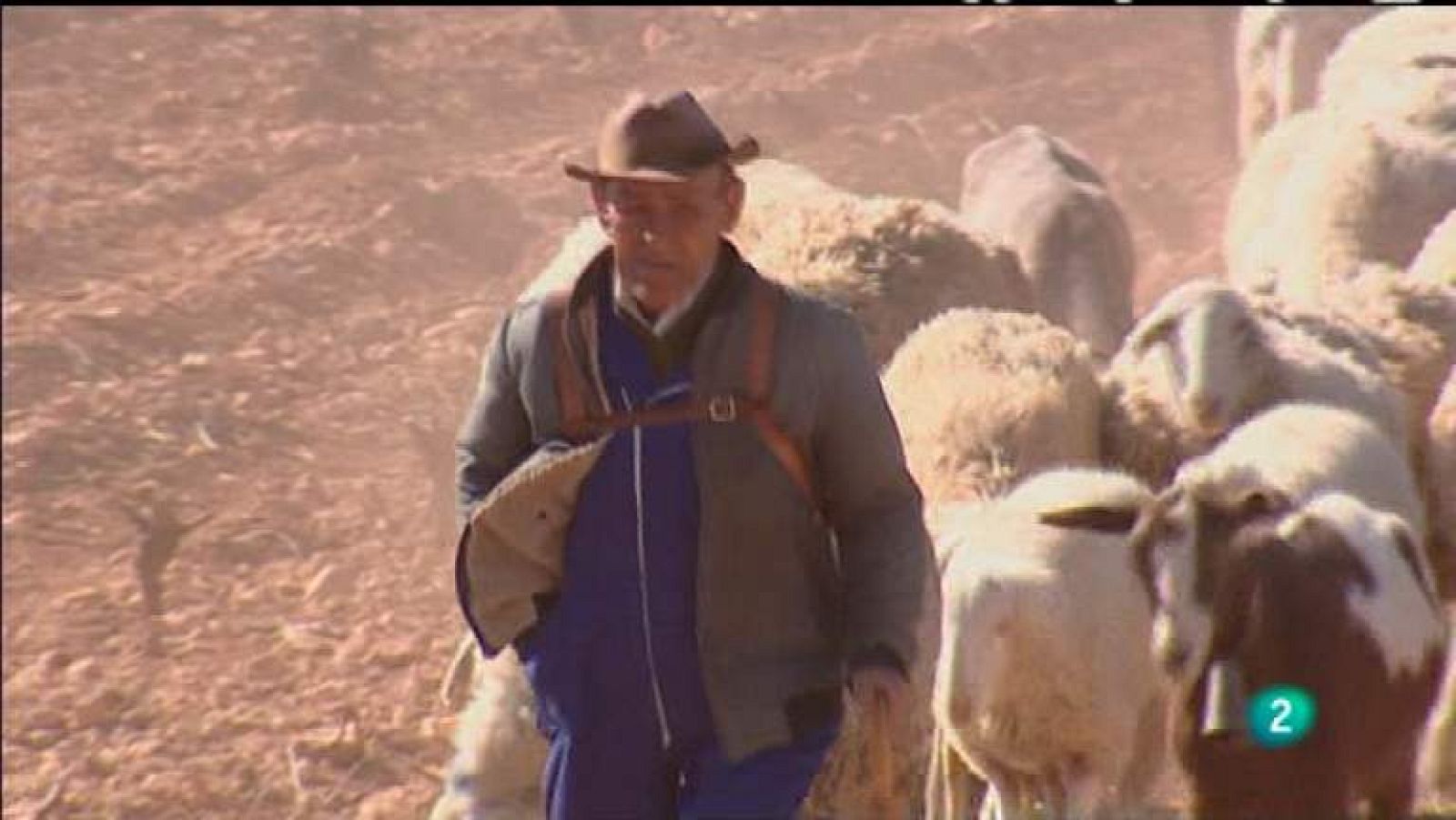 Biodiario - 12/04/12