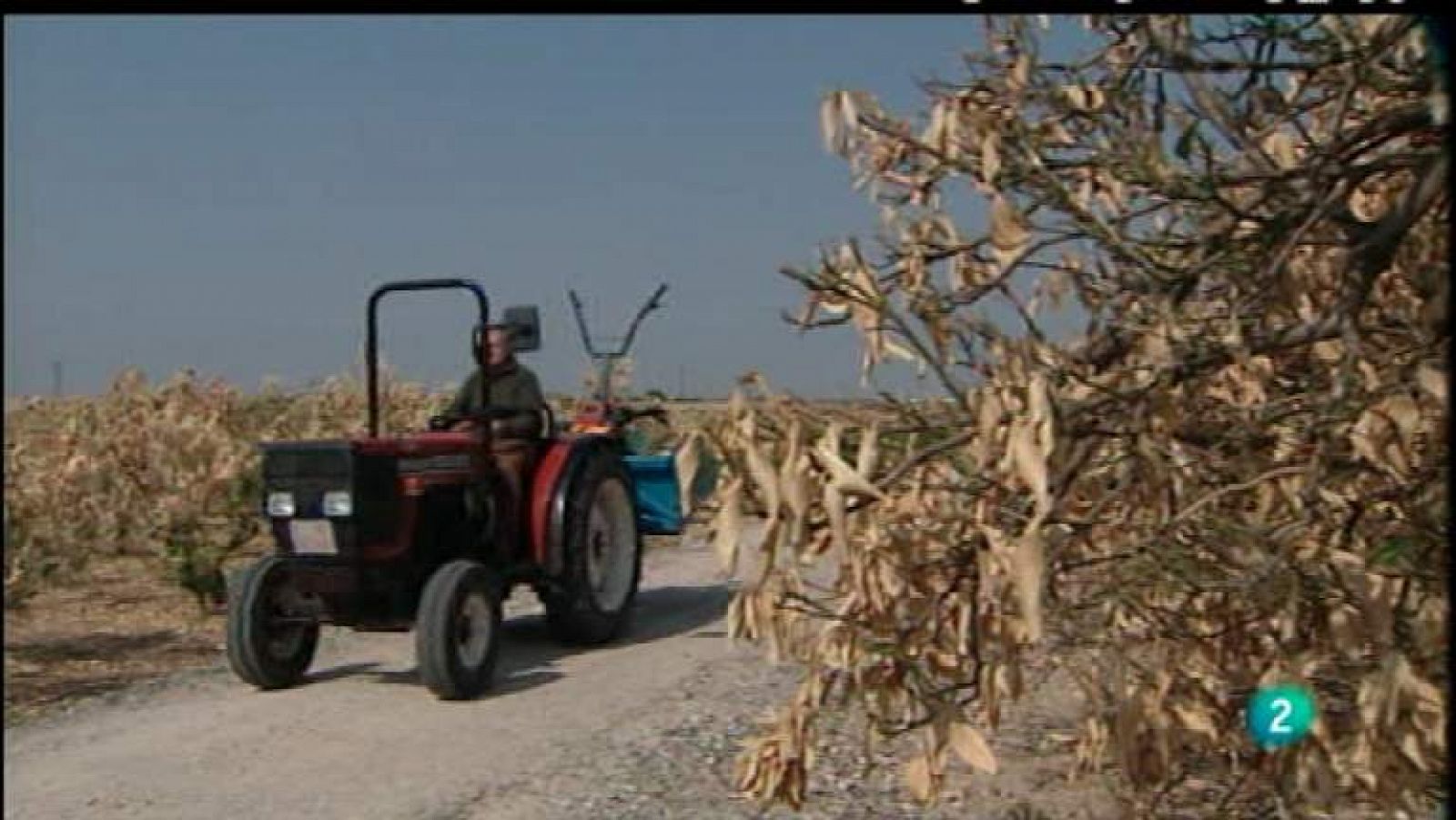 Agrosfera - 14/04/12 - Ver ahora