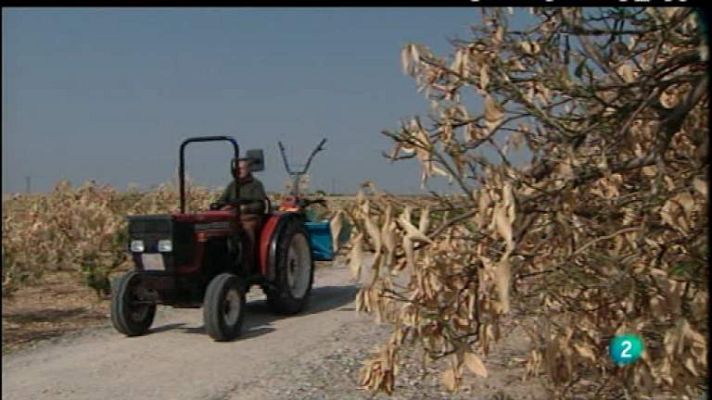 Agrosfera - Agrosfera - 14/04/12