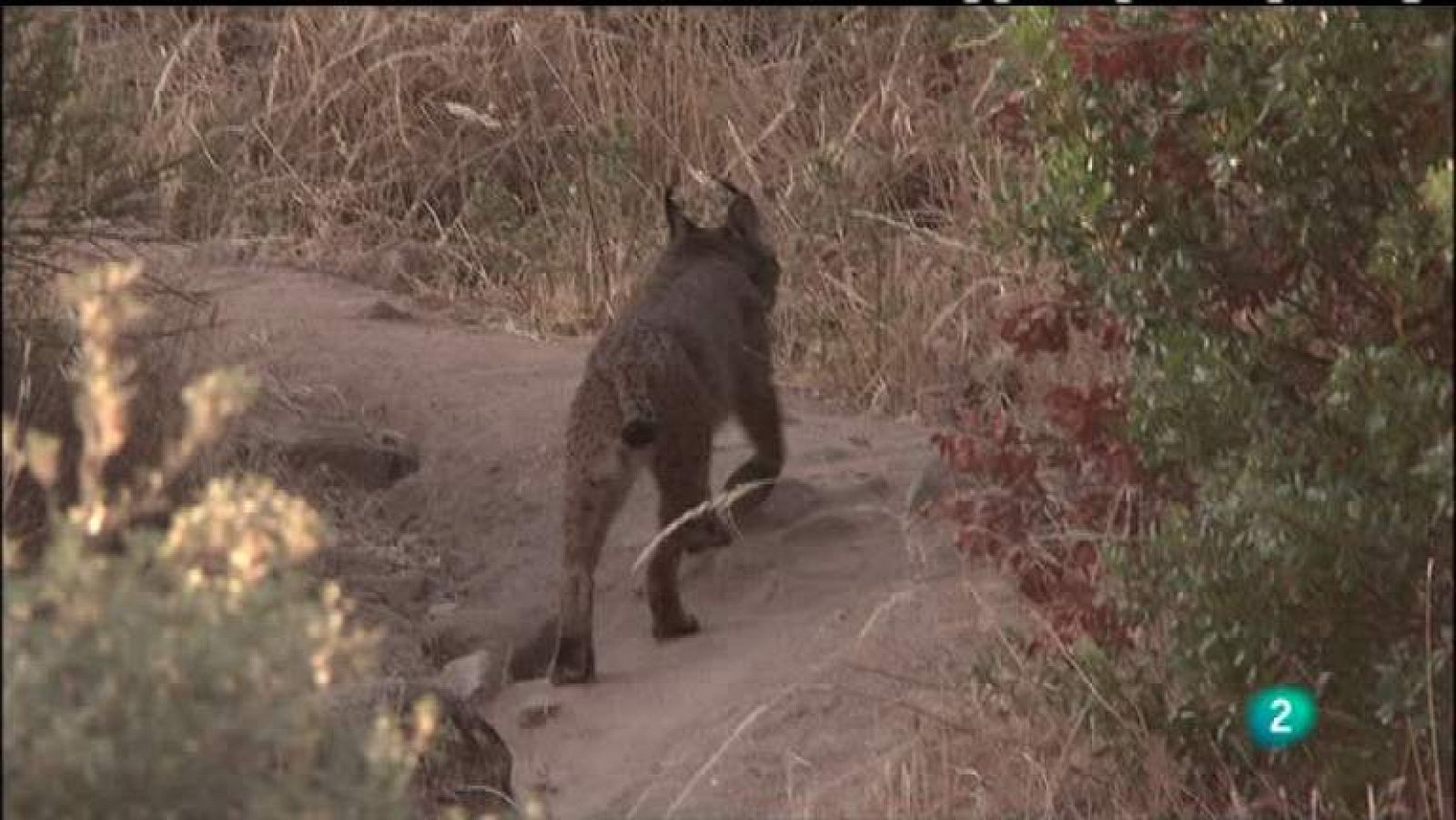 Biodiario - 15/04/12 - ver ahora