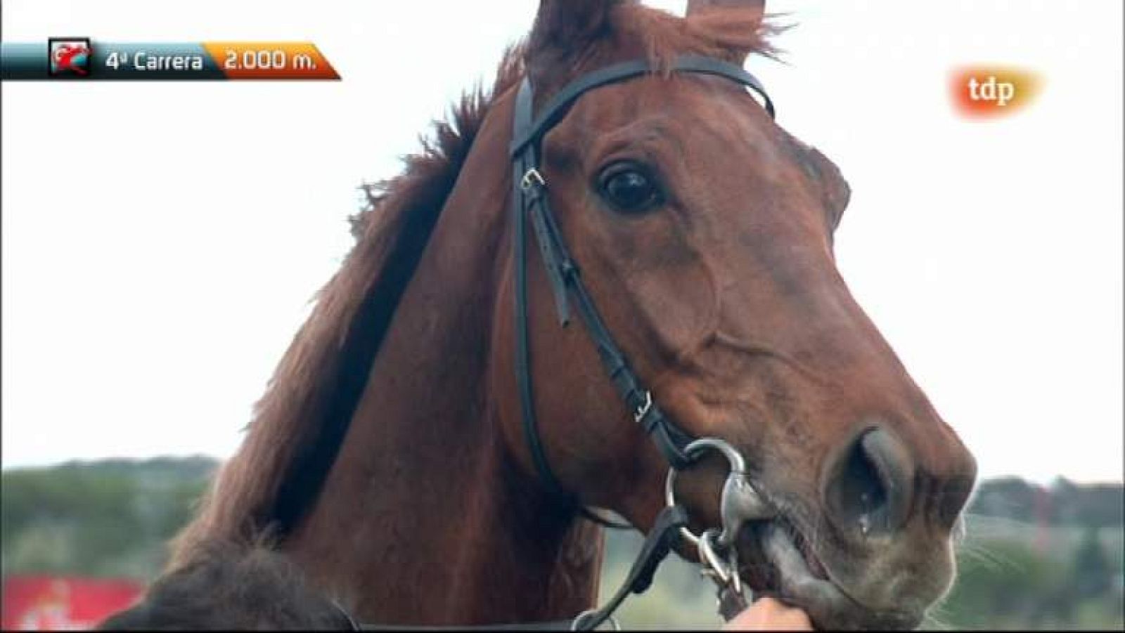 Turf - Carreras de caballos - 15/04/12 - Ver ahora