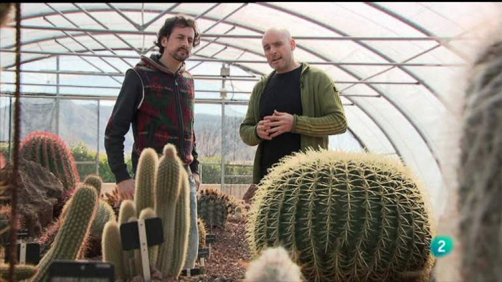 La aventura del saber - 16/04/12 - ver ahora