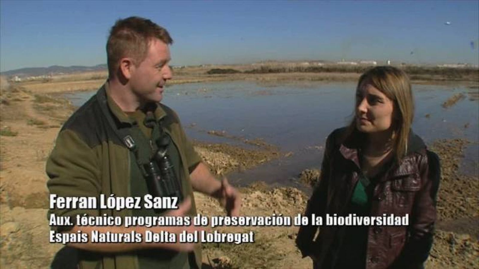 El escarabajo verde -  El Delta del Llobregat