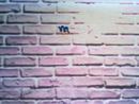  - Homenajes a Madonna: Ricardo José Sánchez