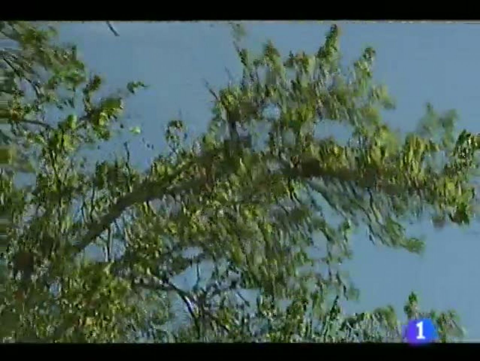 Noticias Aragón - 16/04/12 | Ver