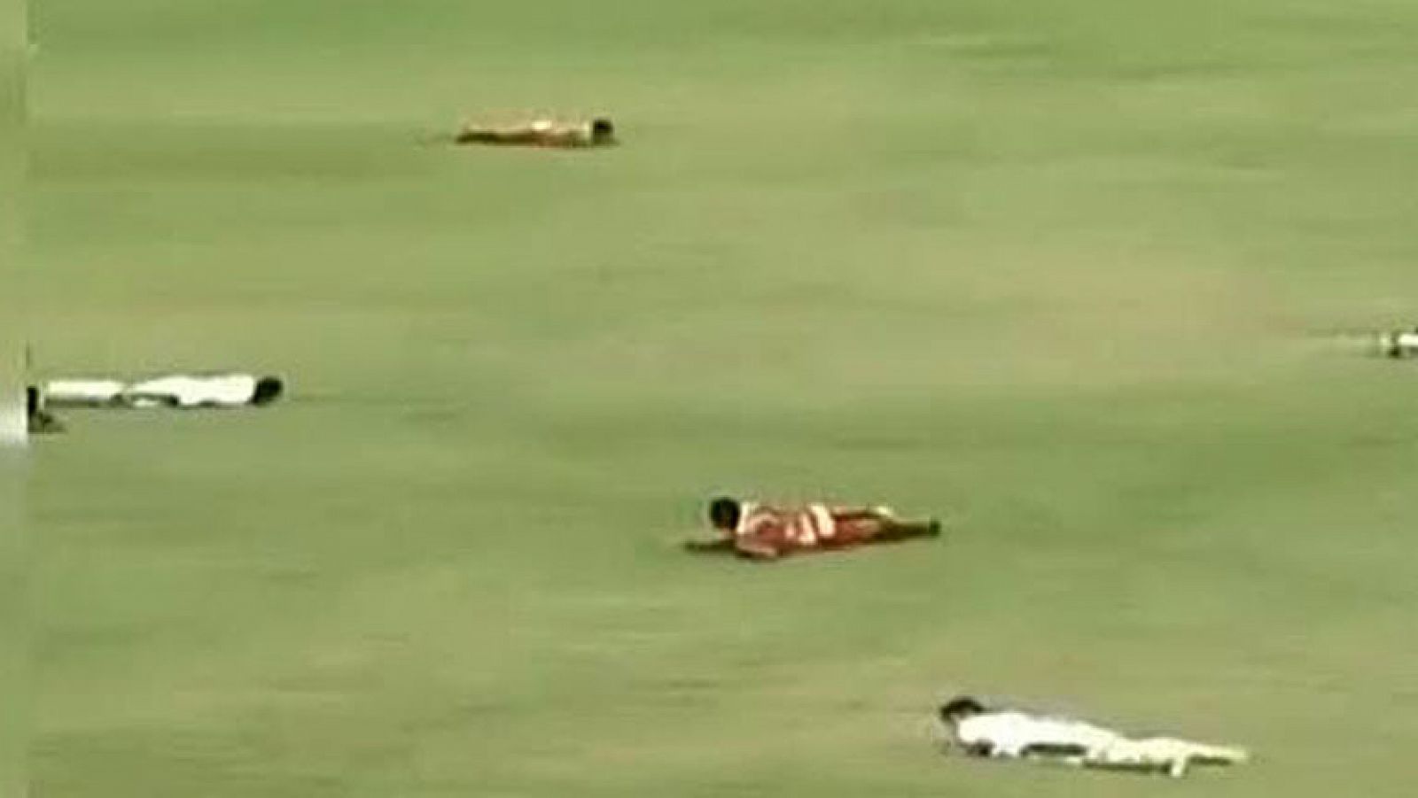 Un enjambre de abejas boicotea un partido en Brasil - Conexión tdp | Ver