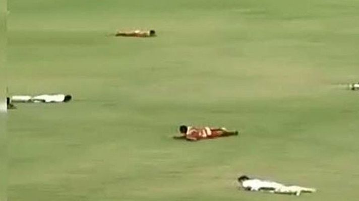 Conexión tdp - Unas abejas boicotean un partido