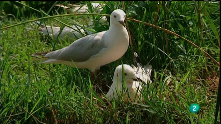 Biodiario - Biodiario - 18/04/12