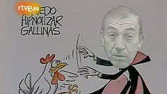 Verdad o mentira - ¿Gila sabe hipnotizar gallinas?