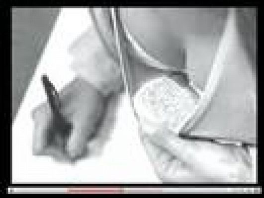  - La chuleta, qué gran invento