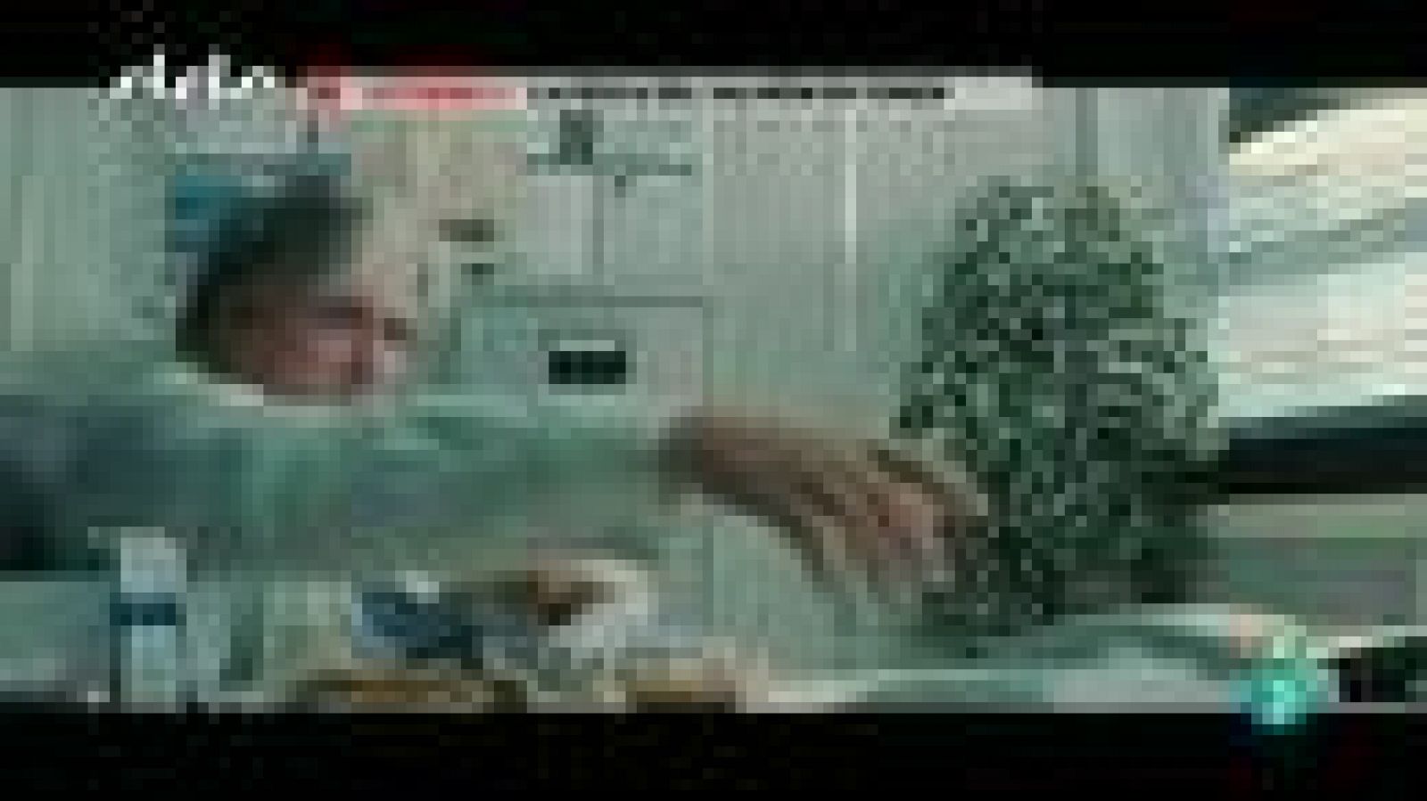 Días de cine: 'La pesca del salmón en Yemen'