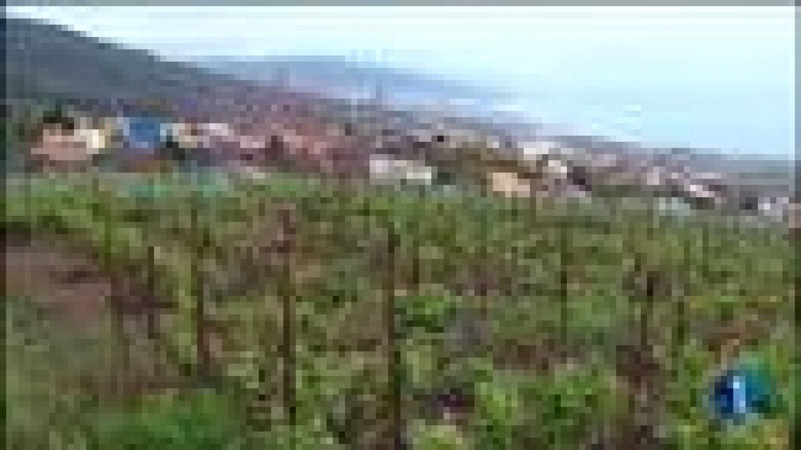 Telecanarias - 20/04/2012 | Ver