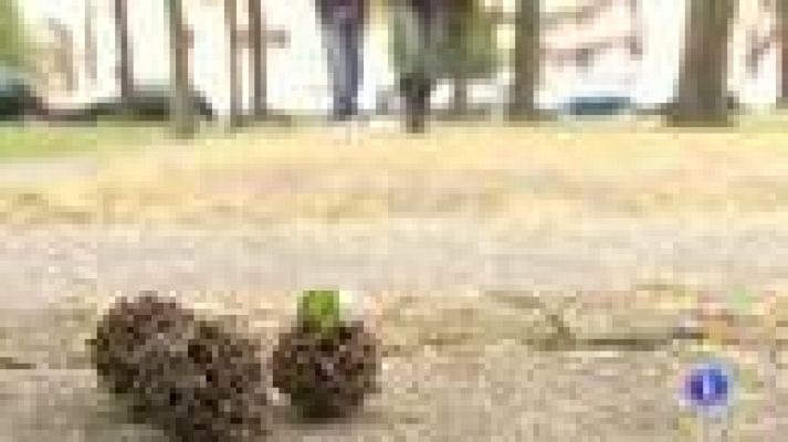 Telediario 1 - Contra el tráfico de seres humanos