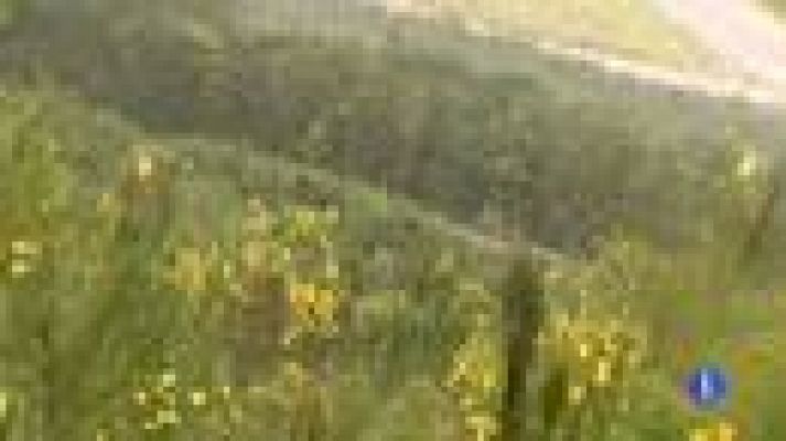 Telediario 1 - La sequía en España