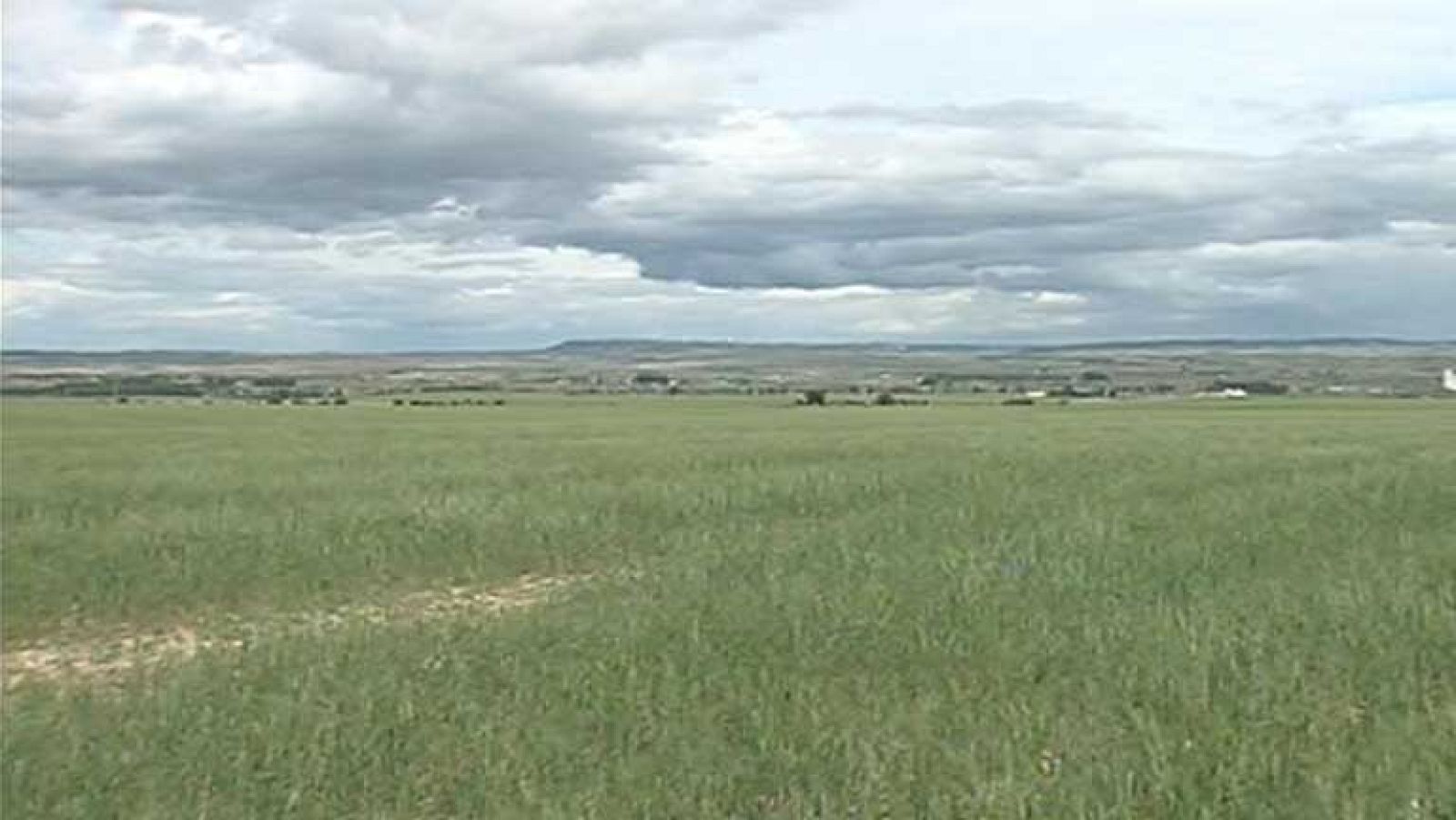 La sequía es uno de los grandes problemas medioambientales 