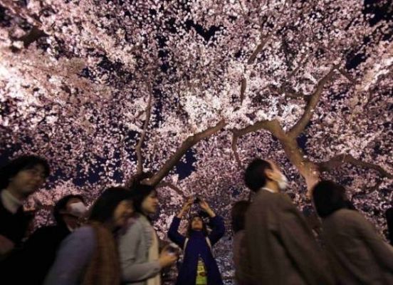 On Off - On Off: Primavera en el sol naciente