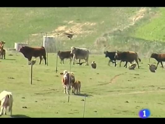 Noticias Aragón - 24/04/12