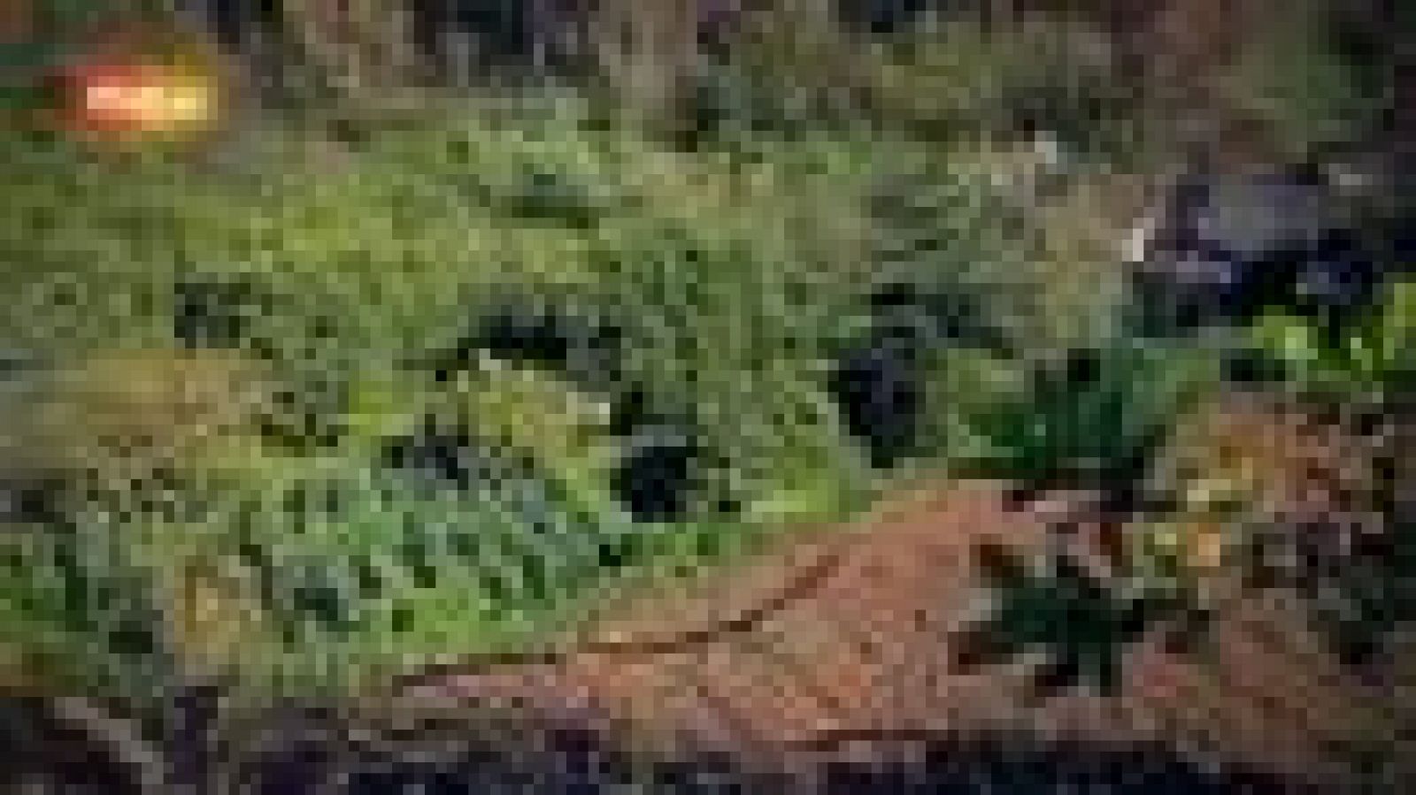 Vídeoclip de 'Lo mejor de ti' - Chambao | Ver