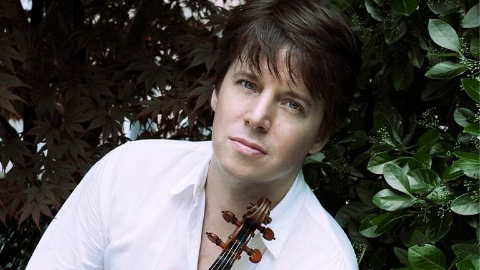 Programa de mano - 24/04/12 - ver ahora