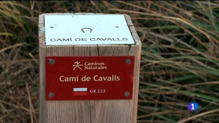 Destino: España - Baleares V