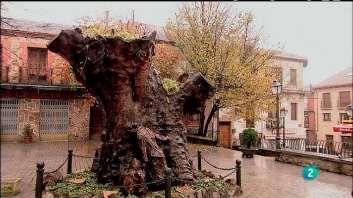 Biodiario - Biodiario - 25/04/12