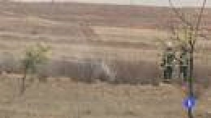 Informativo de Madrid - Informativo de Madrid - 26/04/12