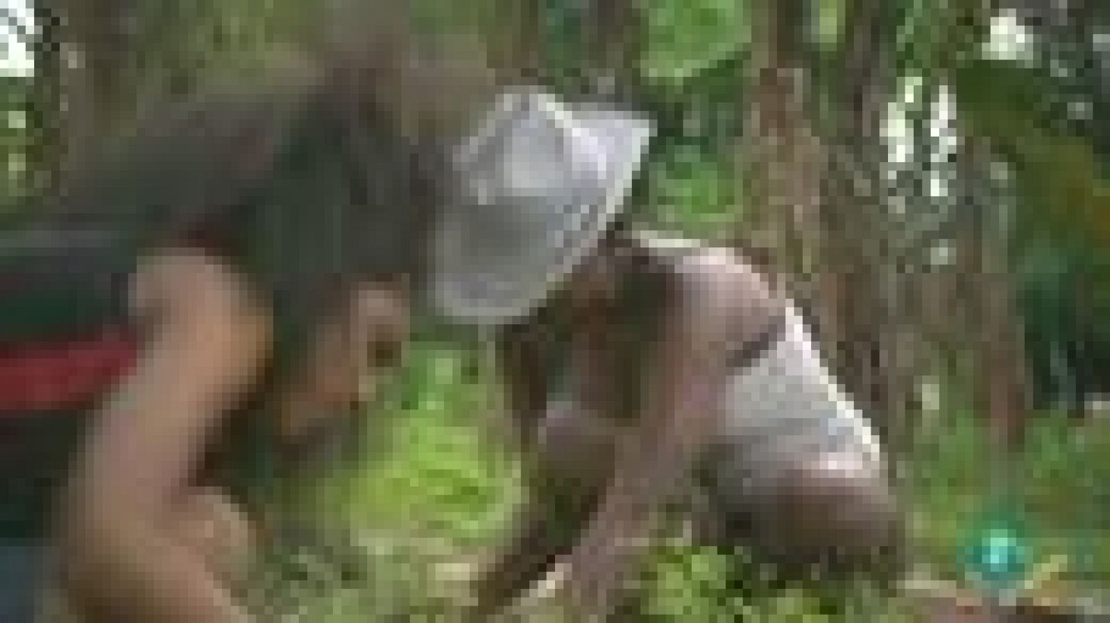 Para todos La 2 - ONG - InteRed