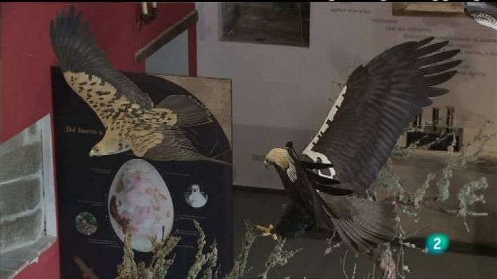 Biodiario - Biodiario - 27/04/12