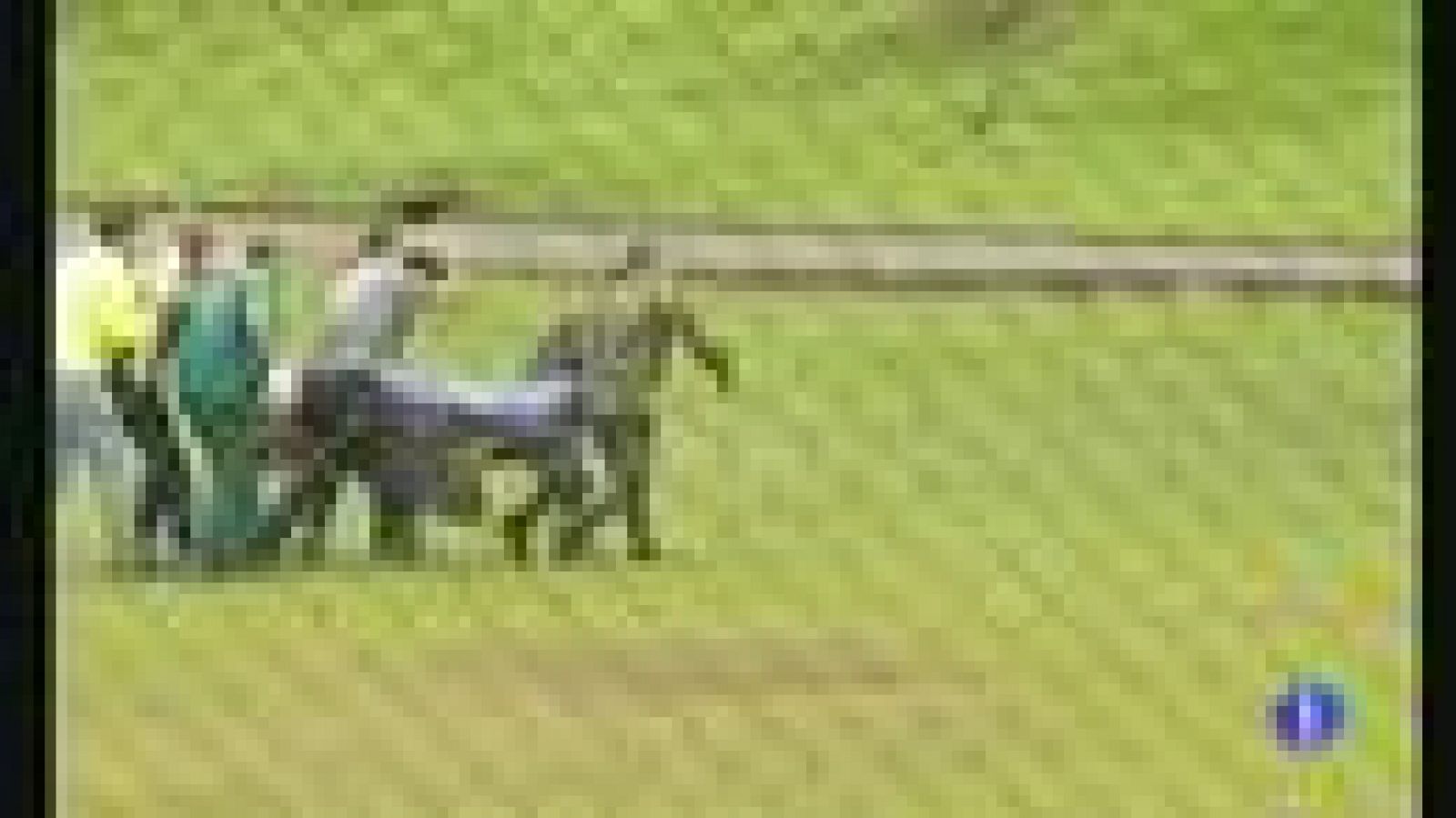 El Gobierno francés confirma que el periodista Romeo Langlois está secuestrado por las FARC