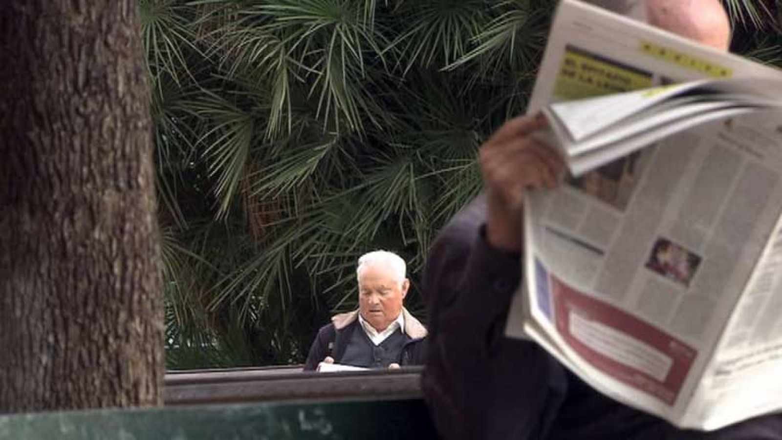 Hoy de celebra el día de las relaciones intergeneracionales