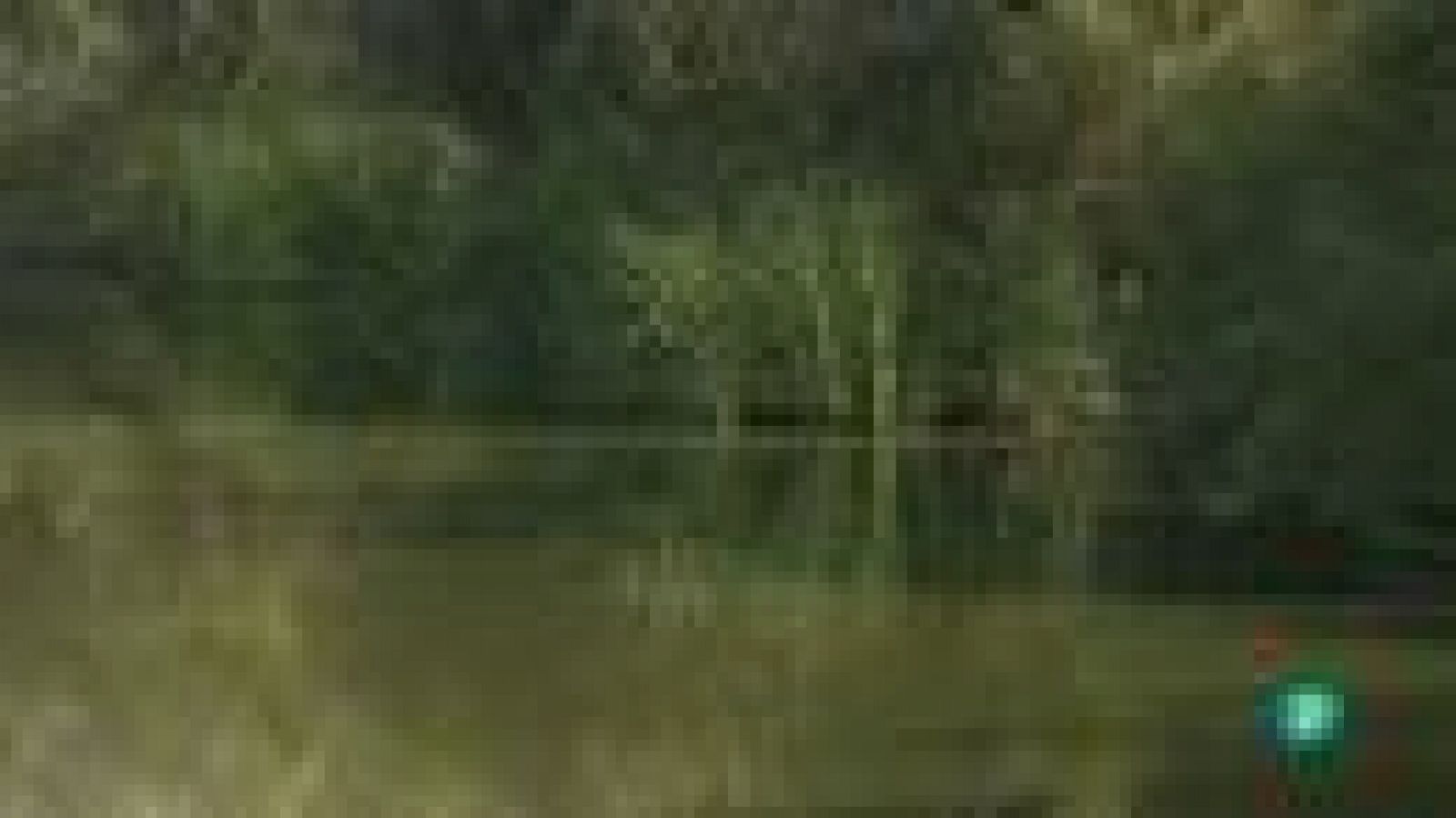 La aventura del saber. Cuaderno de Gaia: Ranas y sapos