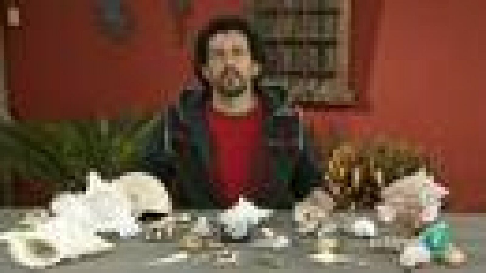 La aventura del saber. Cuaderno de Gaia: Moluscos marinos