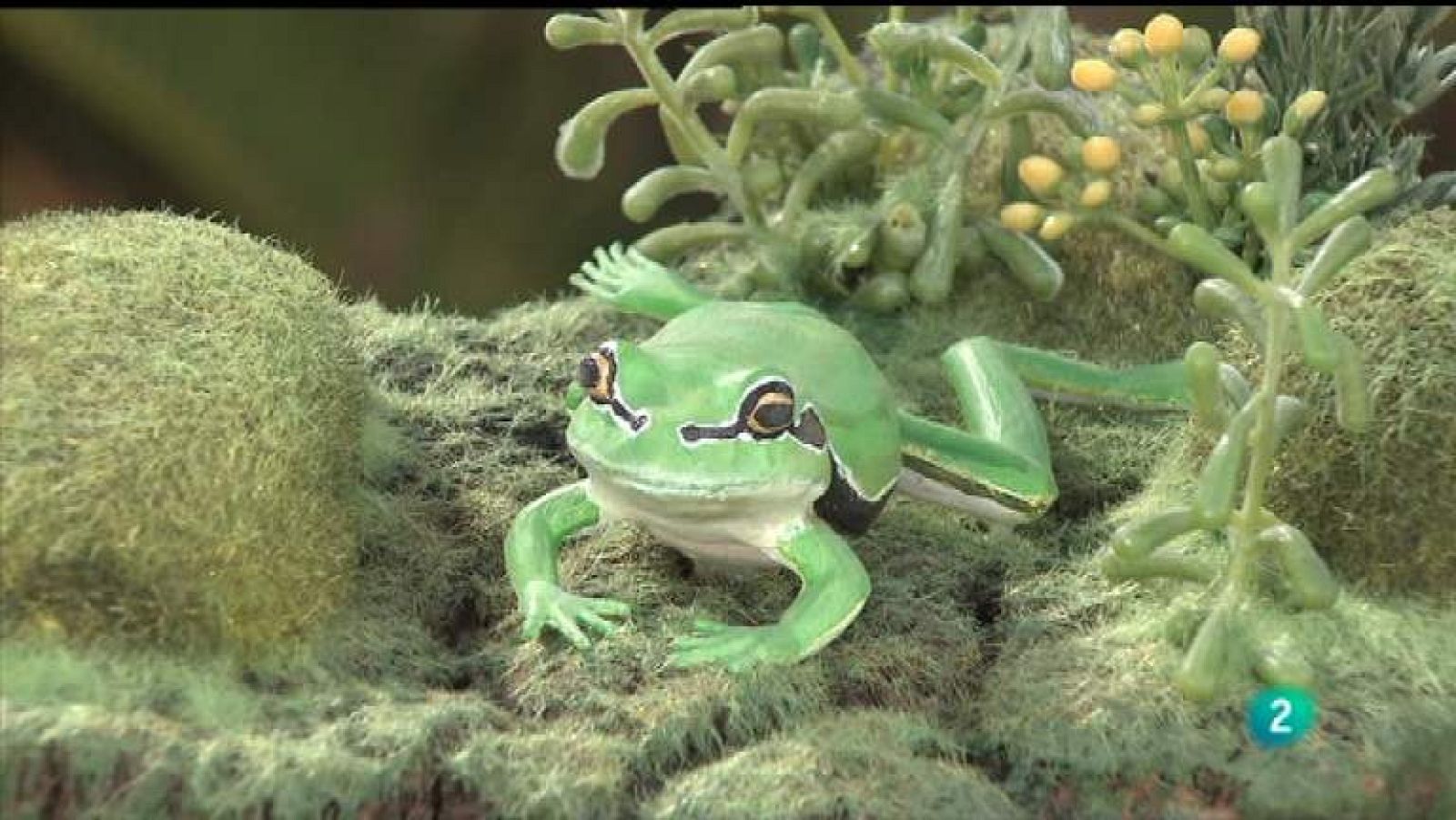 La aventura del saber - 30/04/12 - Ver ahora