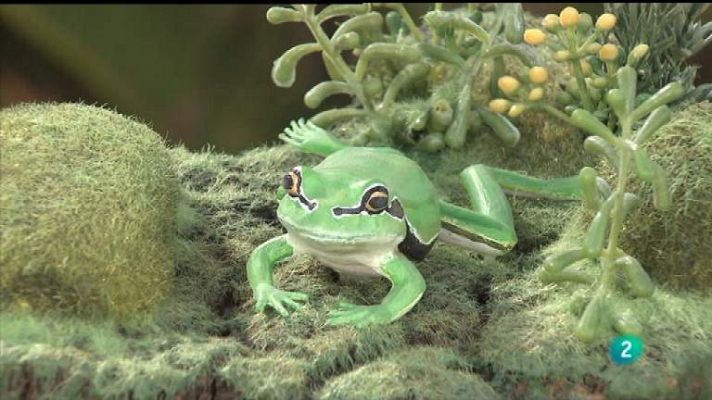 La aventura del Saber - La aventura del saber - 30/04/12