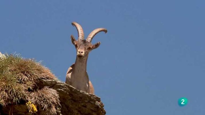 Biodiario - Biodiario - 30/04/12