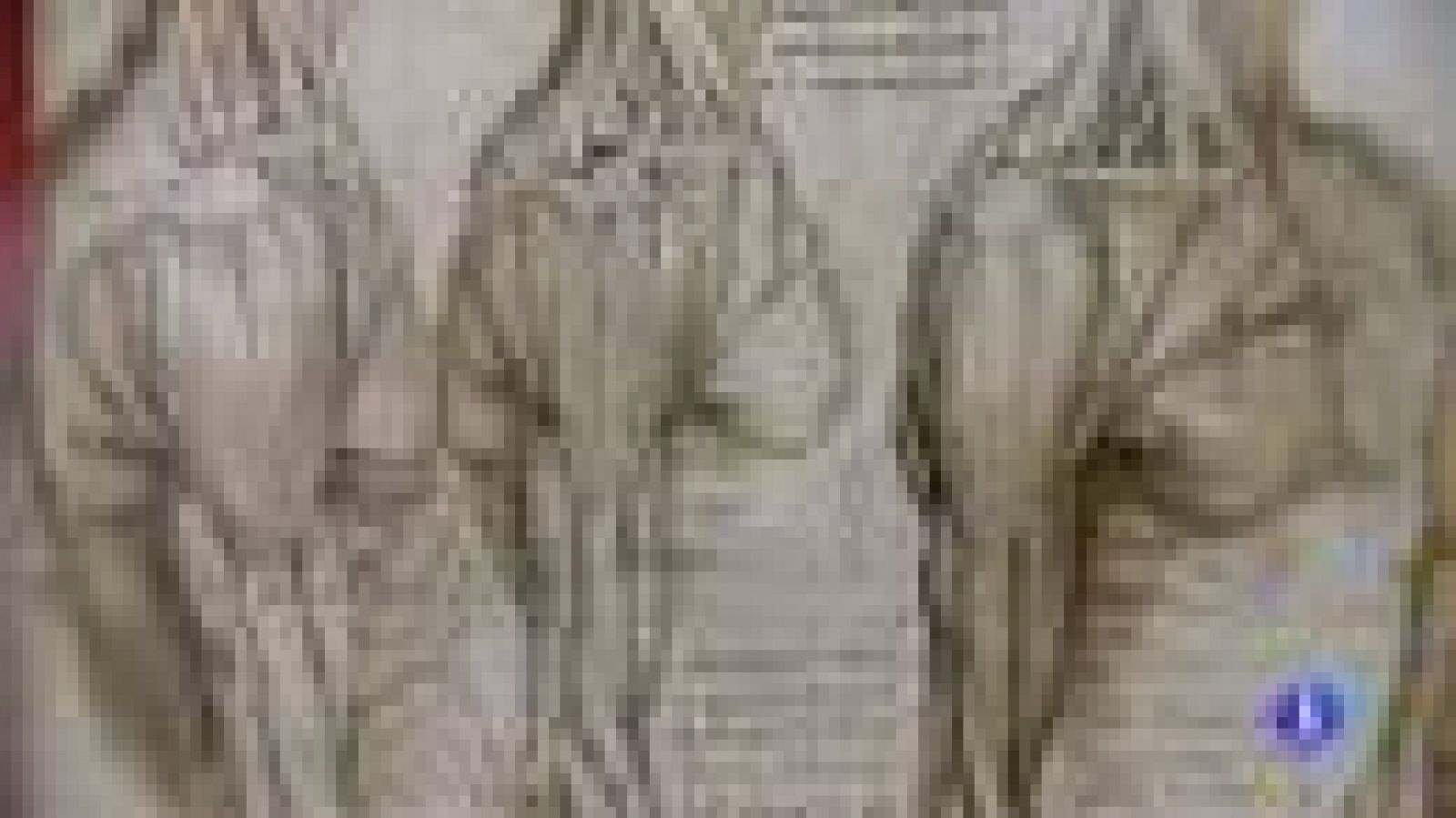 Una exposición que deja ver una faceta de Leonardo Da Vinci: La anatomía del cuerpo humano | Ver