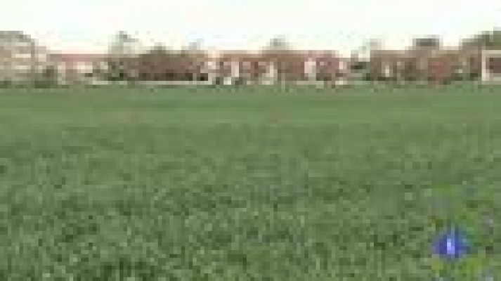 Telediario 1 - Semana de lluvias