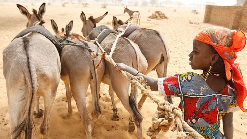 Acabar con la hambruna en el Sahel