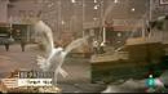 Días de cine - 100 años de la Universal